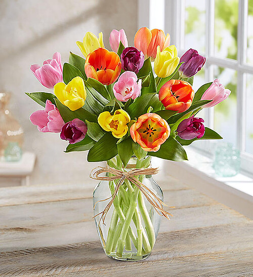 Timeless Tulips&amp;reg;