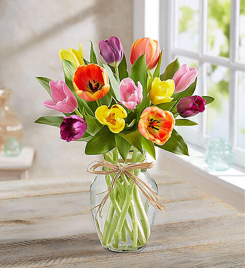 Timeless Tulips&amp;reg;