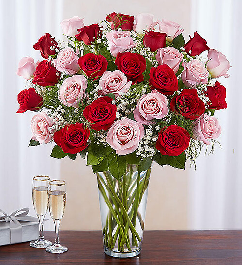 Ultimate Elegance&amp;trade; Long Stem Pink &amp;amp; Red Roses